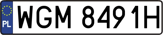 WGM8491H