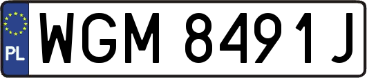 WGM8491J