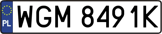 WGM8491K