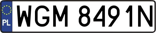WGM8491N