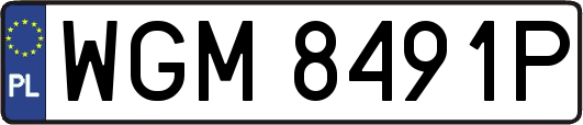 WGM8491P