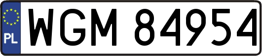 WGM84954