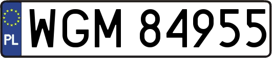 WGM84955