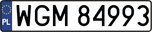 WGM84993