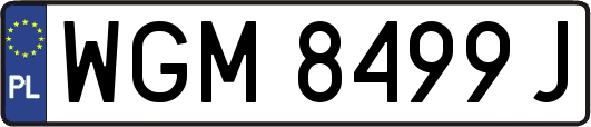 WGM8499J