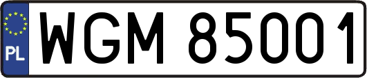WGM85001