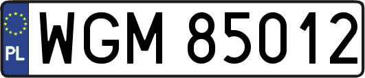 WGM85012