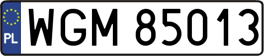 WGM85013