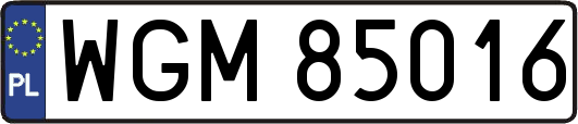 WGM85016