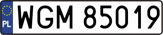 WGM85019