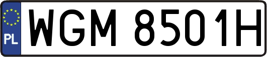 WGM8501H