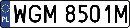WGM8501M