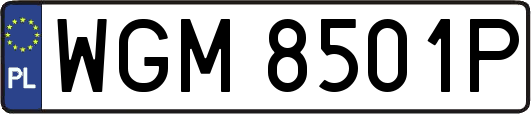 WGM8501P
