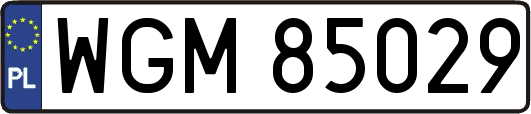 WGM85029