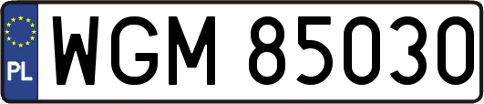 WGM85030