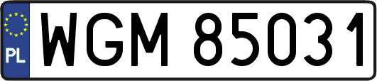 WGM85031