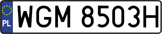 WGM8503H