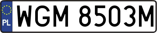WGM8503M