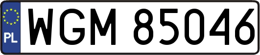 WGM85046