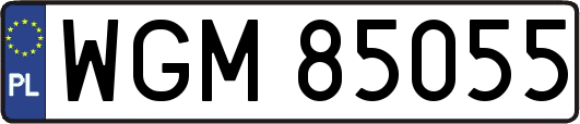 WGM85055