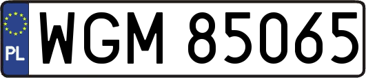 WGM85065