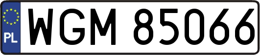WGM85066