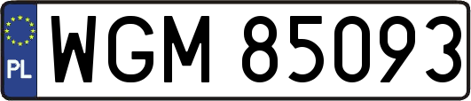 WGM85093
