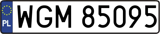WGM85095
