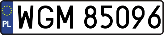 WGM85096