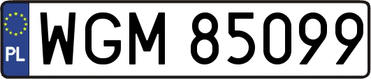 WGM85099