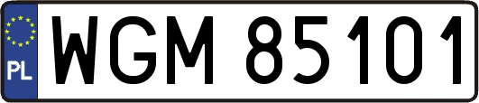 WGM85101