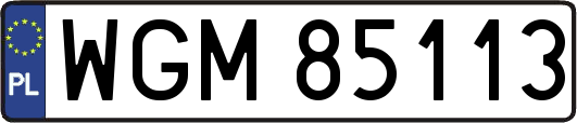 WGM85113