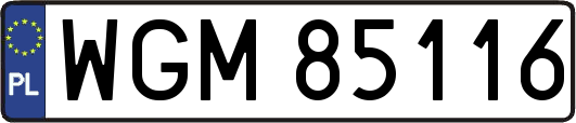 WGM85116
