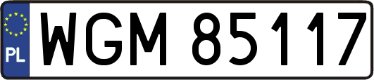 WGM85117