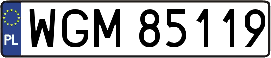 WGM85119