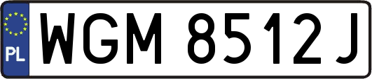 WGM8512J