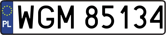 WGM85134