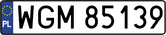 WGM85139