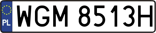 WGM8513H