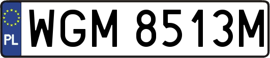 WGM8513M