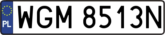 WGM8513N
