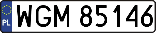 WGM85146