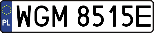 WGM8515E
