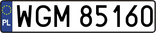 WGM85160