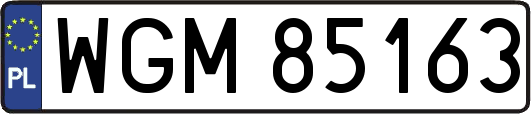 WGM85163