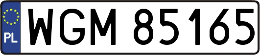 WGM85165