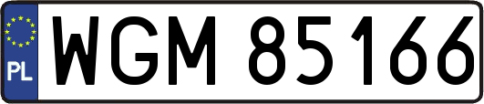 WGM85166