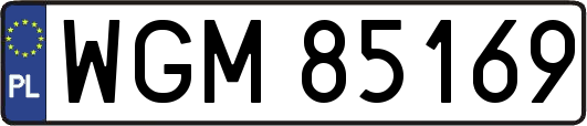 WGM85169