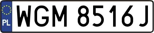 WGM8516J