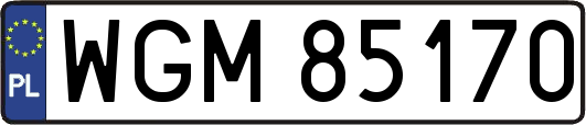 WGM85170